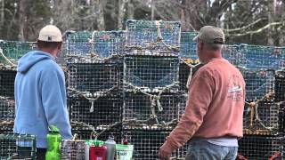 MSC Maine Lobster
