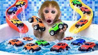 Monyet Bon Bon Imut bermain monster truck di seluncuran pelangi dan menemukan harta karun misterius