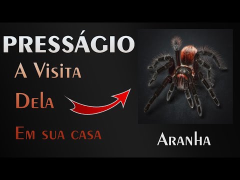 Significado de Sonhar Com Aranha  Especies de aranhas, Significado dos  sonhos, Aranha