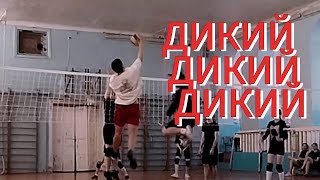 Wild Volleyball by ZAMUteam