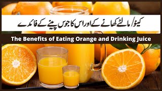 Kinnu/Malta | Benefits of Orange and Orange Juice for Health Beauty and Weight Loss by Sara khan