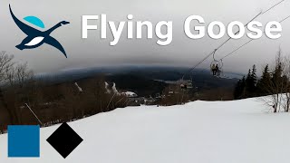 Mount Sunapee - Flying Goose
