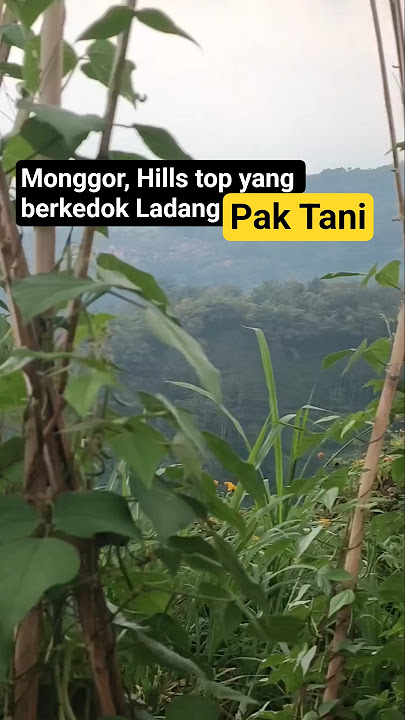 pesona monggor yang menipu matam pemandangan wisata berkedok ladang pak tani #gunung #desa #explore