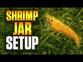 How To Easily Make A Shrimp Jar - Yellow Cherry Shrimp Jar Setup Using The Walstad Method!