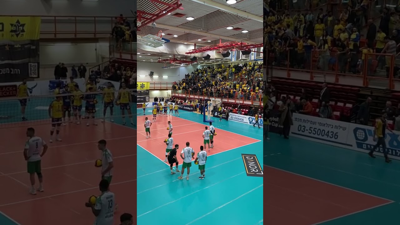 רק את אהובתי מכבי