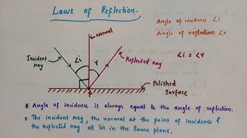 Laws of reflection // Class 8 Physics // Chapter 16 Light