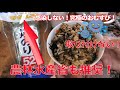 新型コロナウイルスに感染予防の最強！おにぎりの作り方！モリモリのフコイダン！