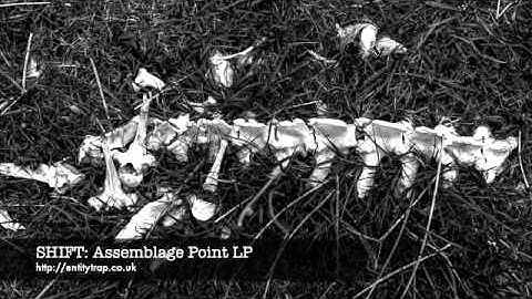 SHIFT - Assemblage Point LP