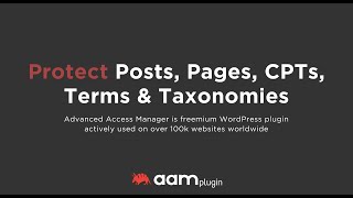 Protect WordPress Posts, Pages, CPTs, Terms & Taxonomies with Advanced Access Manager Plugin