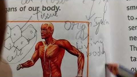 SCIENCE#3#Ch.8(Man:The Living Machine), Part-1