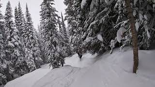 Vail, Colorado Going In between Trees! Part 2