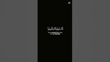 قران كريم #share #المصحف #اكسبلور #دويتو #لايك #قران_كريم #duet #الظروف #الرحمن #القزابري