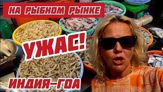 видео: Индия. Посмотрите что продают в Гоа на рыбном рынке? Как доехать с автовокзала Маргао #индия #гоа картинка: Индия. Посмотрите что продают в Гоа на рыбном рынке? Как доехать с автовокзала Маргао #индия #гоа