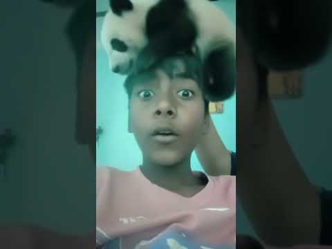Panda ka baccha