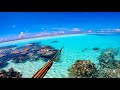 Spearfishing alone in mysterious lagoon