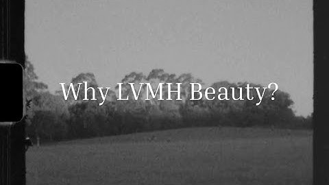 LVMH P&C Division Full Time Internship Program