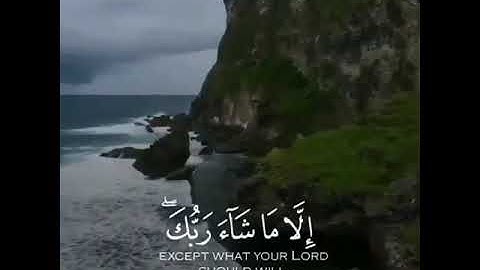وَأَمَّا الَّذِينَ سُعِدُوا فَفِي الْجَنَّةِ خَالِدِينَ || القارئ اسلام صبحي