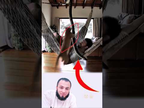 أحيان ا لا ترى الحماية لكنها تأتي قبل أن تشعر بالخطر  