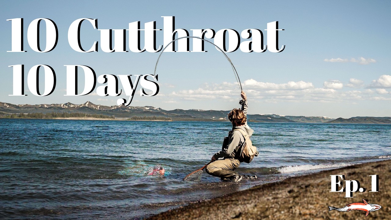 Смогу ли я поймать все подвиды форели за 10 дней?