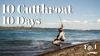 Can I Catch Every Subspecies of Cutthroat in 10 Days?