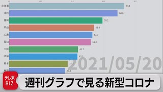 週刊 グラフで見る新型コロナ（2021年5月21日）