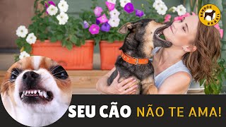 Seu cão NÃO TE AMA!