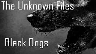 The Unknown Files: Phantom Black Dogs