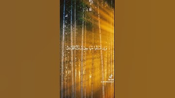 تلاوة القارئ أسامة بومشاش