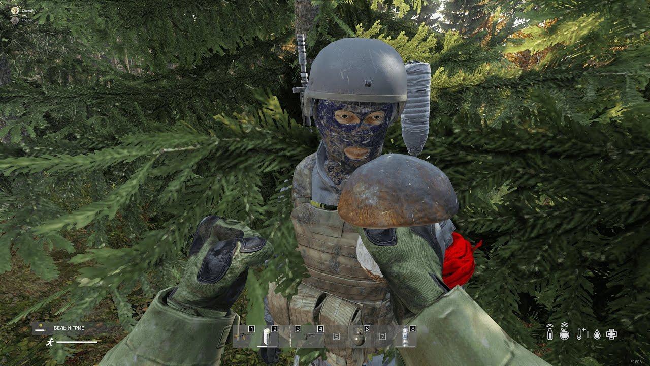 охота крепкая #dayz - YouTube