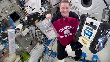 Stanford ‘gecko gripper’ tested on the International Space Station