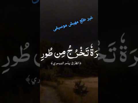وشجرة تخرج من طور سيناء سورة المؤمنين