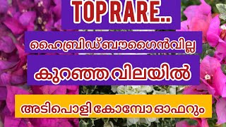 ഏറ്റവും പുതിയ വെറൈറ്റികൾ കുറഞ്ഞ വിലയിൽ.Muvattupuzha-malappuram direct delivery available.Combo offer