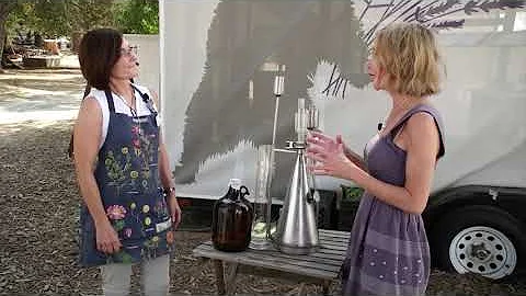 Walk Through Lavender Fields | California Live | N...