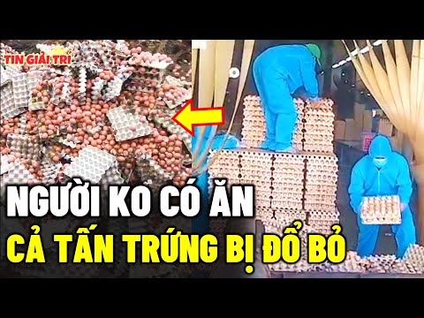 Hàng nghìn Trứng Gà bị ĐỔ BỎ trong khi người nghèo không có ăn, sự thật buồn phía sau