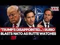 Marco Rubio Slams NATO Countries, Says President Trump Disappointed At Some Of Our Allies | Watch