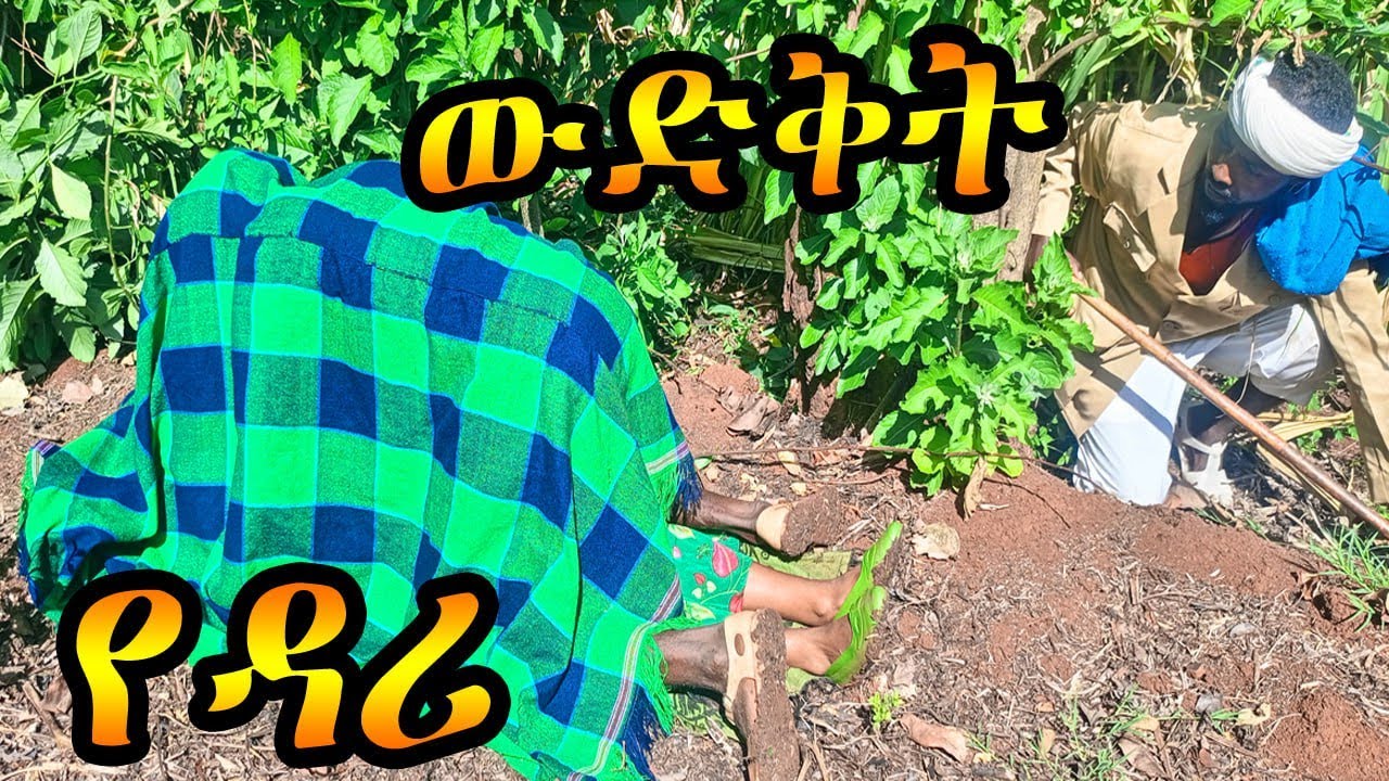 የዳሪ - ውድቅት //አስተማሪ የገጠረኛ ድራማ #ውድቅት #እዳሪ #አረጉ #ቀለበት #መኳንቴ #comedy #funny #entertainment #ፍካትቲቪ