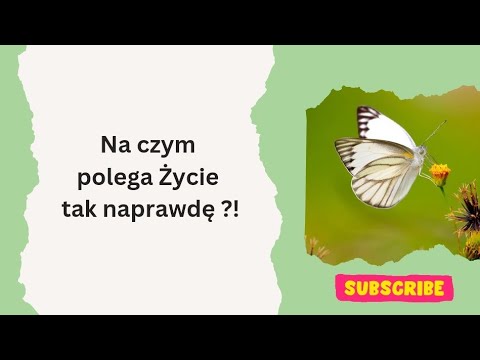 Na czym polega