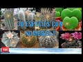 30 Cactus con sus Nombres/Aprende a Identificar/Diferentes especies▶️