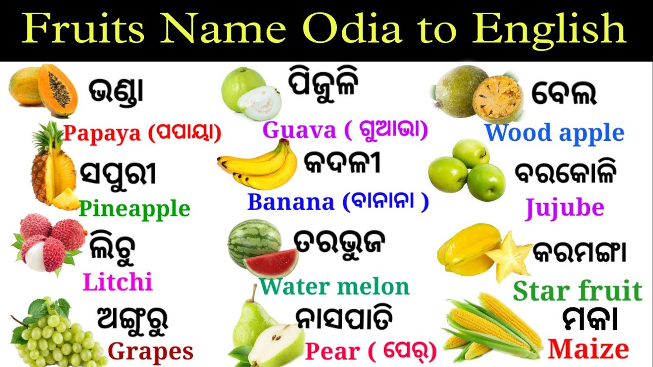 Fruits Name Odia to English/ English to odia translation/ word ...