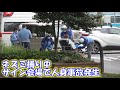 【警察24時】人身事故発生!ネズミ捕り中に悲鳴と鈍い音が現場を包む… レーダー取り締まり 30km制限 川口警察