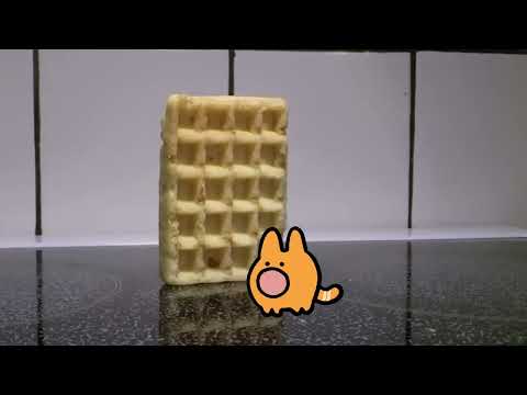 waffle falling over on catino