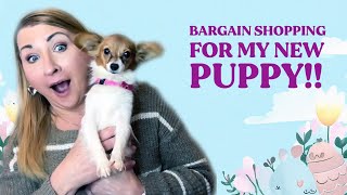 Bargain Shopping for My Puppy!