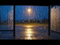 🌧️ Cozy Rainy Bus Stop at Night with Street Light Reflection for Deep Sleep and Relaxing Ambience ✨