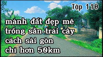 chú tư già rồi rao bán bớt vườn trái cây trồng sẳn tại bà rịa vũng tàu để dưỡng già