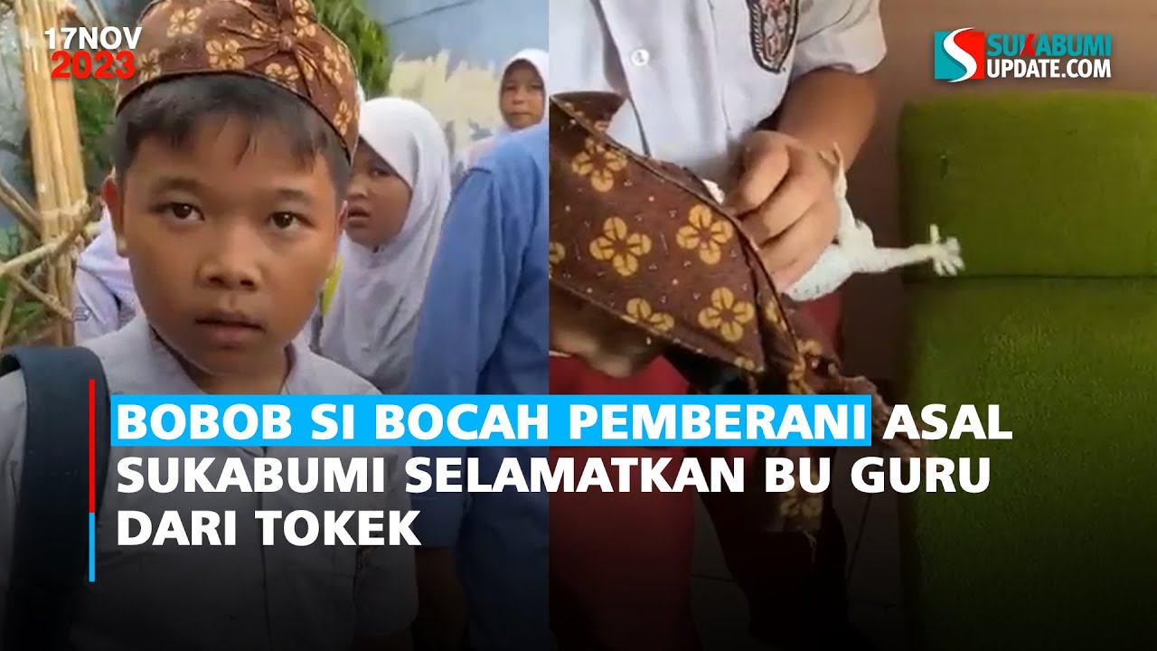 Bobob si Bocah Pemberani Asal Sukabumi Selamatkan Bu Guru dari Tokek