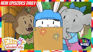 Elinor Wonders Why The Speed Racer Akili Kids