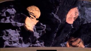 Star Trek Music Video (Specific Slice - Death of Aphrodite (Damian Wasse Remix))