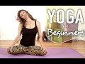 Flexibility Training - Beginners Yoga For Flexibility, Neck & Shoulder Stretches