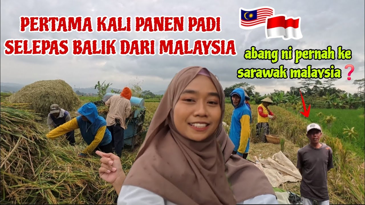 PERNAH KE SARAWAK MALAYSIA❓️CAKAP MELAYU DENGAN ORANG KAMPUNG DISAWAH JAWA