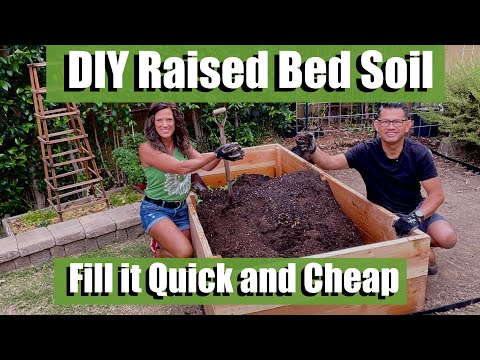 How To Prepare Soil For Raised Bed Vegetable Garden